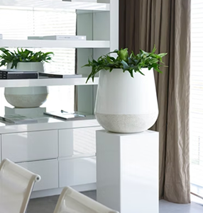 Planter 55 white